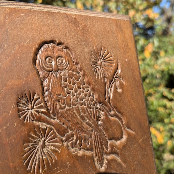 🍁 Vintage Owl Wooden Goblincore Cottage core Wall Plaque 🍁 - Picture 9 of 11